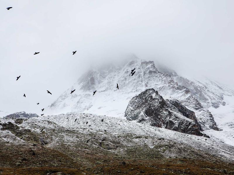 sudoku perfect score screenshot 3